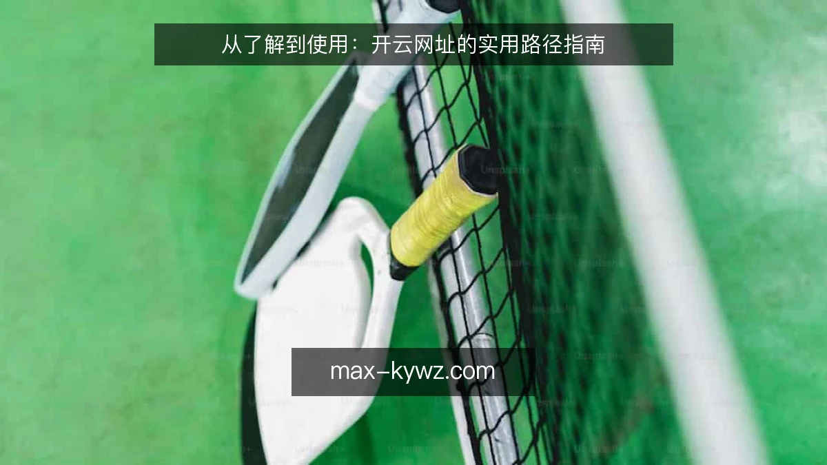 从了解到使用：开云网址的实用路径指南