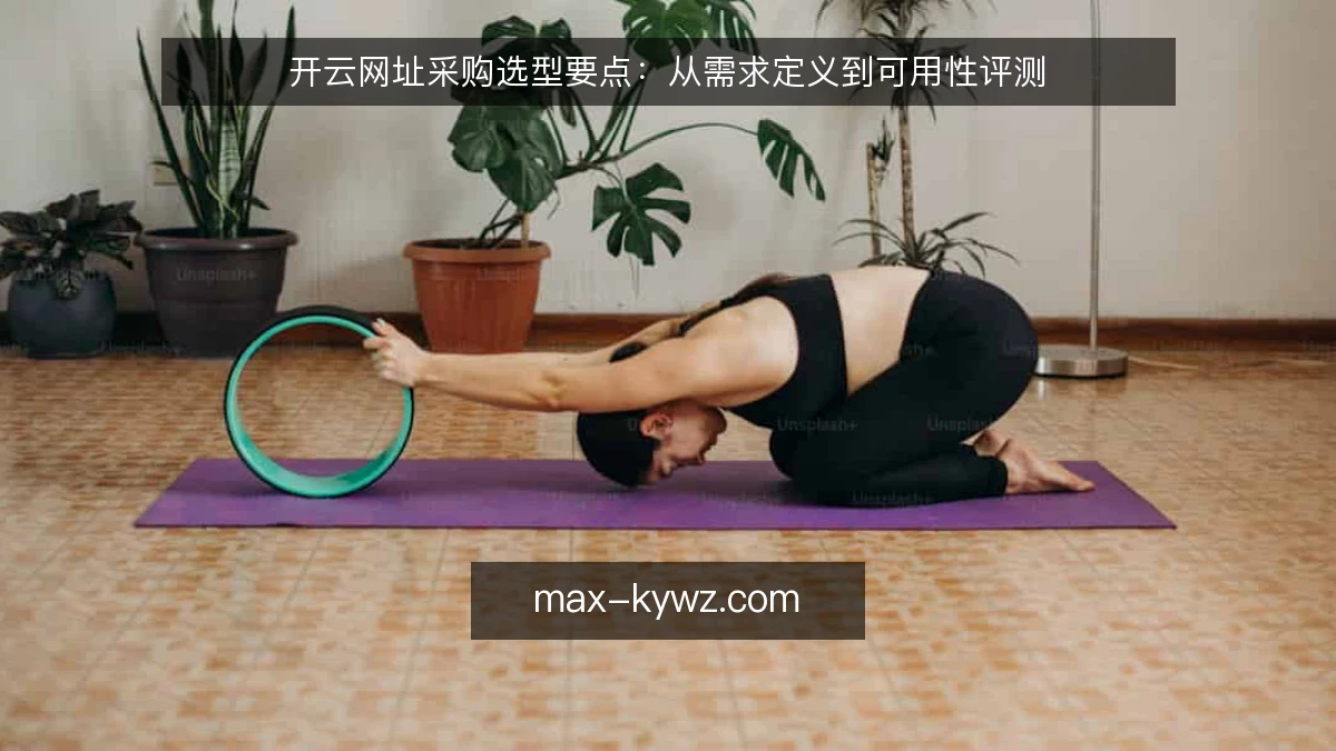 开云网址采购选型要点：从需求定义到可用性评测