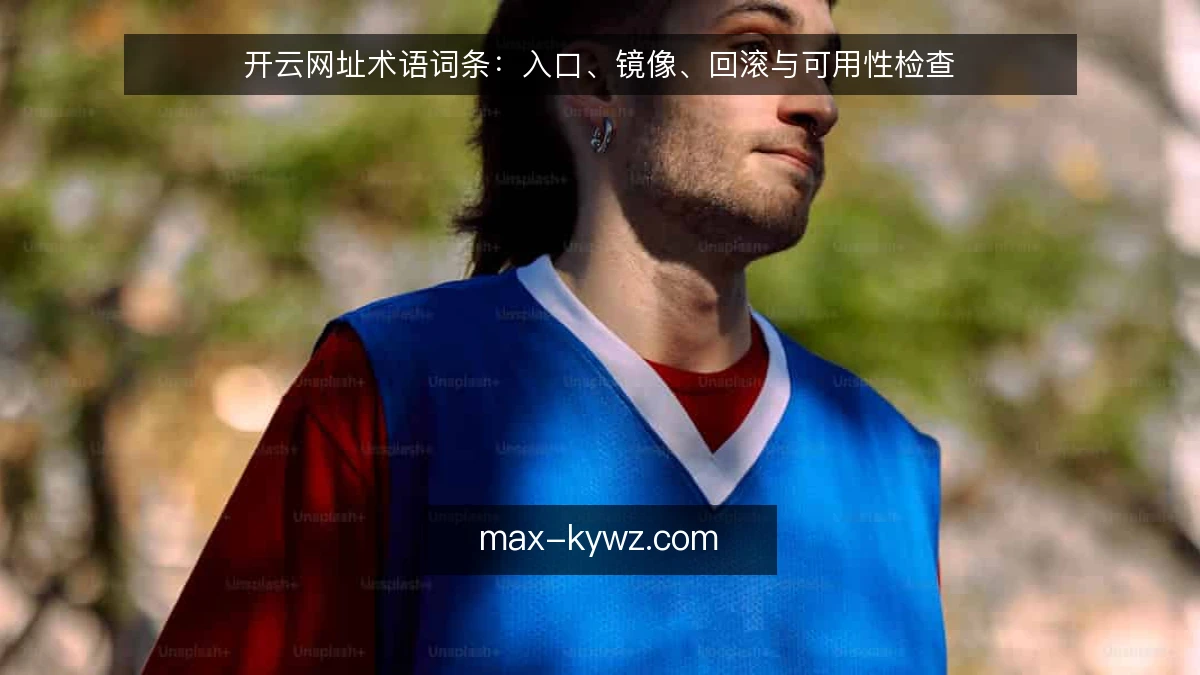 开云网址术语词条：入口、镜像、回滚与可用性检查