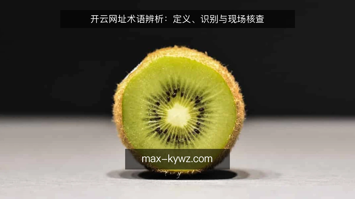 开云网址术语辨析：定义、识别与现场核查