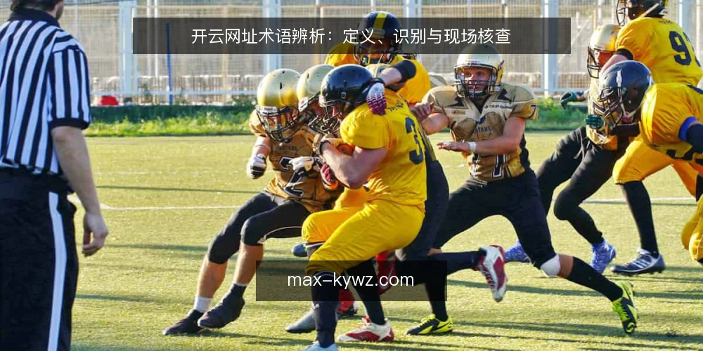 开云网址术语辨析:定义、识别与现场核查 — 现场要盯的信号 配图