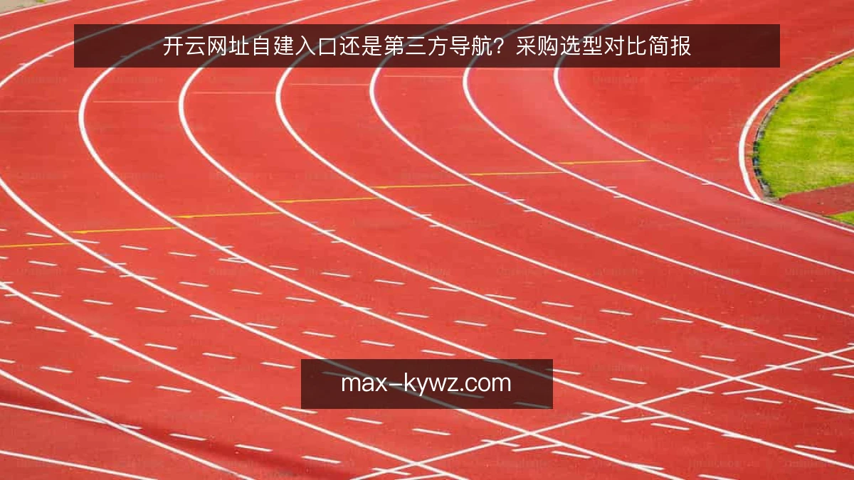 开云网址自建入口还是第三方导航？采购选型对比简报