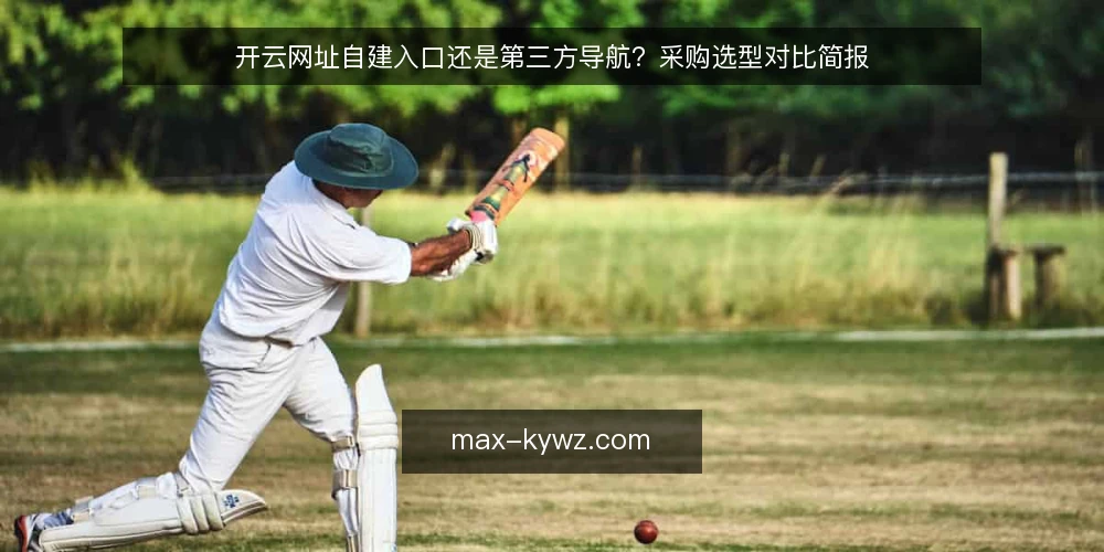 开云网址自建入口还是第三方导航？采购选型对比简报 — 先定义需求：入口要解决什么问题 配图