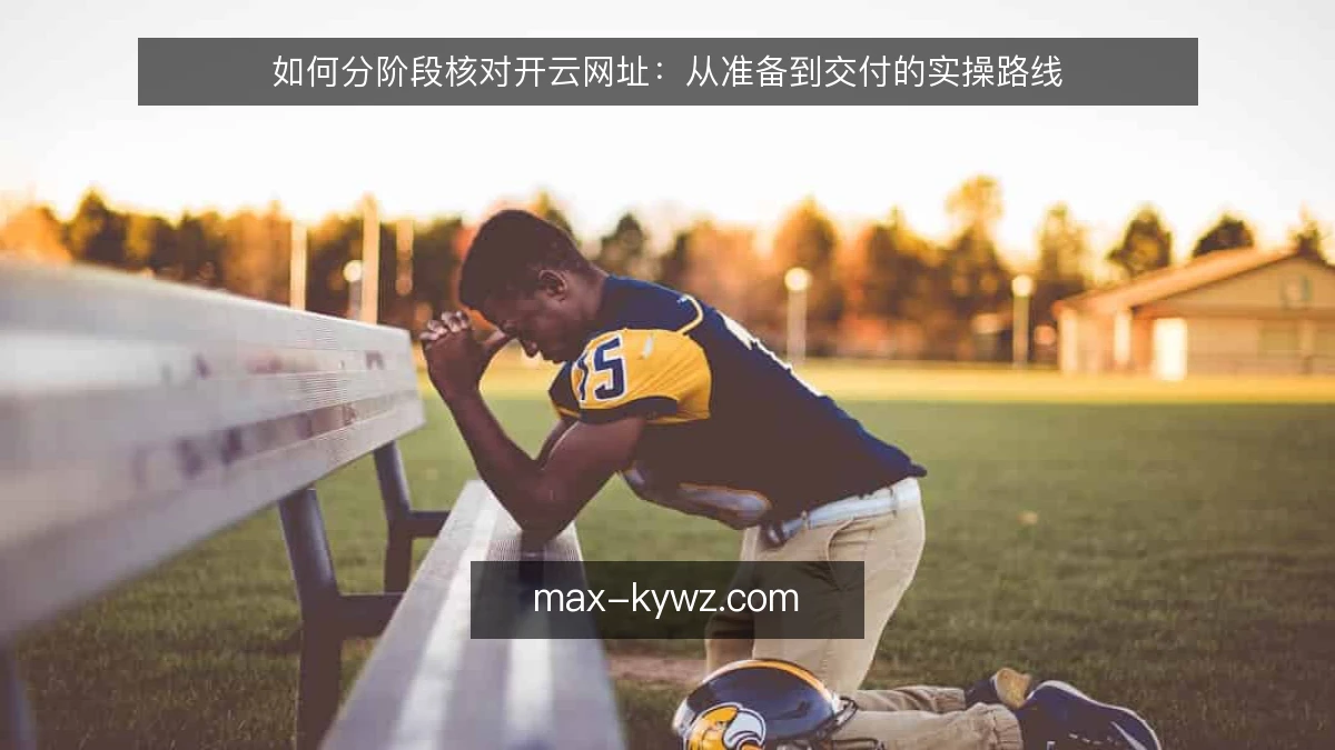 如何分阶段核对开云网址:从准备到交付的实操路线